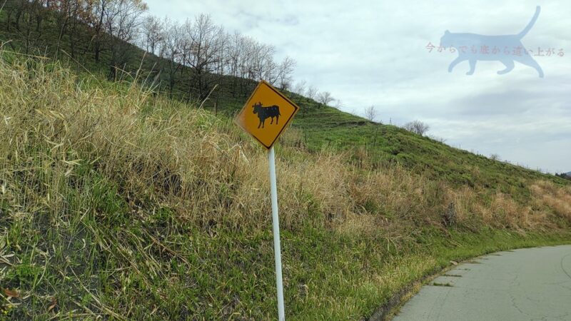 途中見かけた道路標識　赤牛なのかな？と考えながらも移動