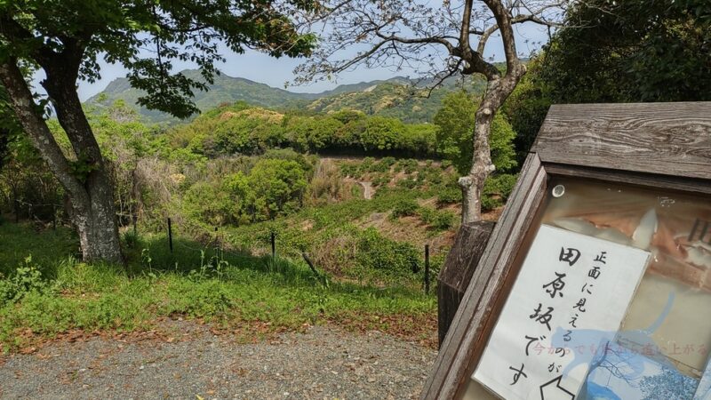 外に出ると熊本城同様に戦略的な防衛目的でつくられた道が見える。　西南戦争のはるか前に考えた加藤清正は優秀すぎる…