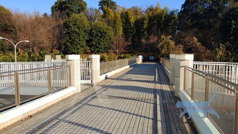 大塚・歳勝土遺跡公園までの陸橋へと繋がっている